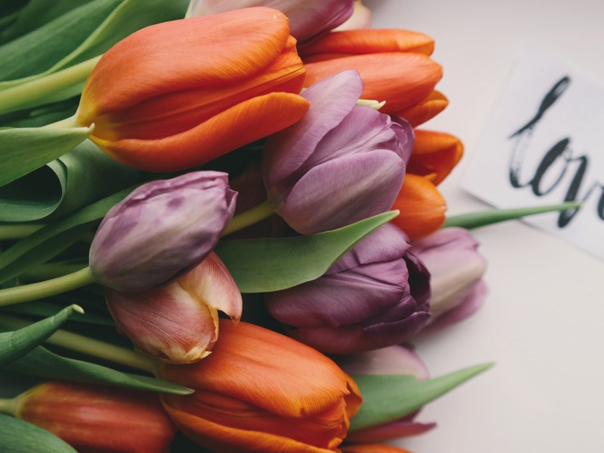 Oh My Newly Found Love! (Audio Poem) – The First Long LOVE POEM (92 Lines)