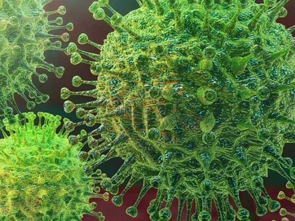 If You Can't Go Outside, Then Go Inside – Three Ideas for a Healthy 'Corona' Quarantine Period by G. Sarojini.